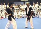 Lata 50 rocznica karate Anglia 2007 15