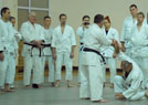 Kurs kata Judo i Chin Na 2014 1
