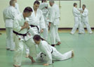 Kurs kata Judo i Chin Na 2014 5