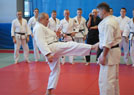 Kurs kata Judo i Chin Na 2014 13