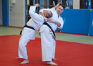 Kurs kata Judo i Chin Na 2014 15