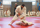 Kurs kata Judo i Chin Na 2014 20