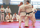 Kurs kata Judo i Chin Na 2014 21