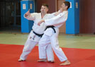 Kurs kata Judo i Chin Na 2014 23