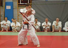 Kurs kata Judo i Chin Na 2014 31