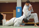 Kurs kata Judo i Chin Na 2014 34