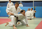 Kurs kata Judo i Chin Na 2014 35
