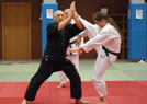 Kurs kata Judo i Chin Na 2014 37