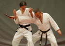 Kurs kata Judo i Chin Na 2014 42