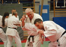 Kurs kata Judo i Chin Na 2014 43