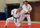 Kurs kata Judo i Chin Na 2014 49